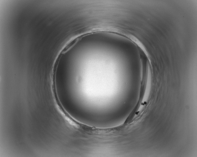 X0000070431005200606161459