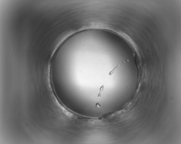 X0000070431006200606161459