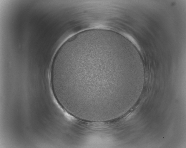 X0000070431007200606161459