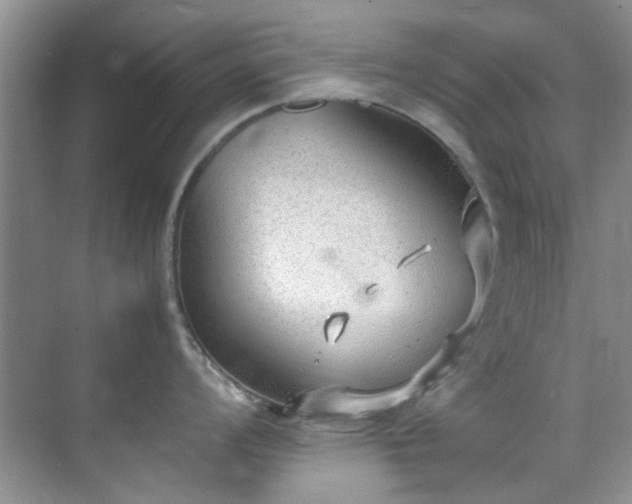 X0000070431008200606161459