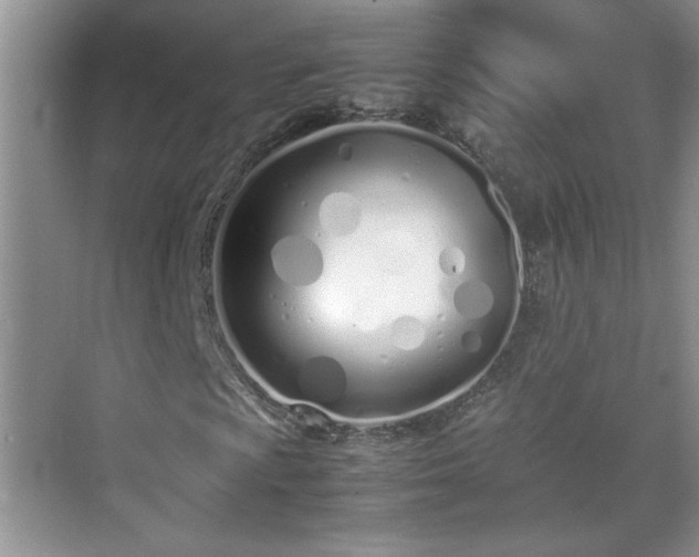 X0000070431009200606161458