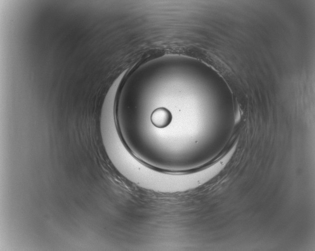 X0000070431010200606161458