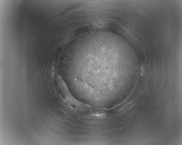 X0000070431011200606161458