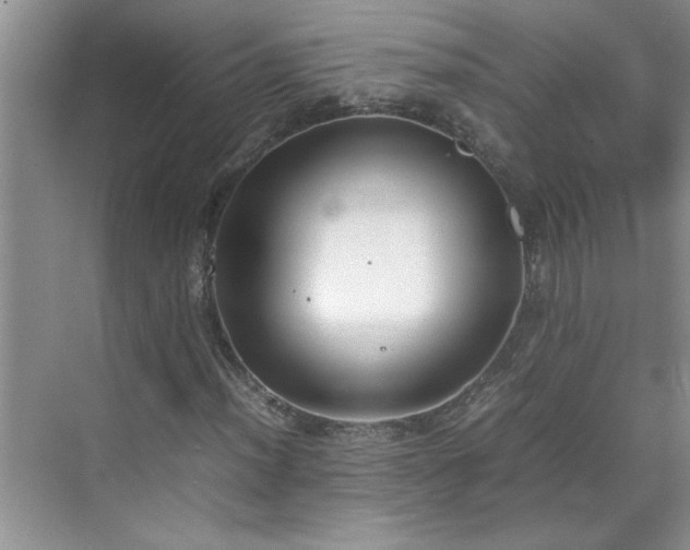 X0000070431012200606161458