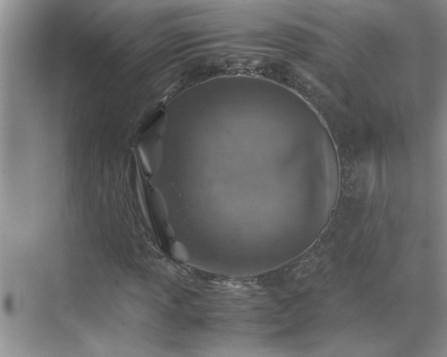 X0000070431013200606161458