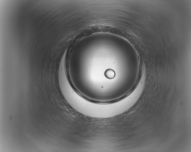 X0000070431014200606161458