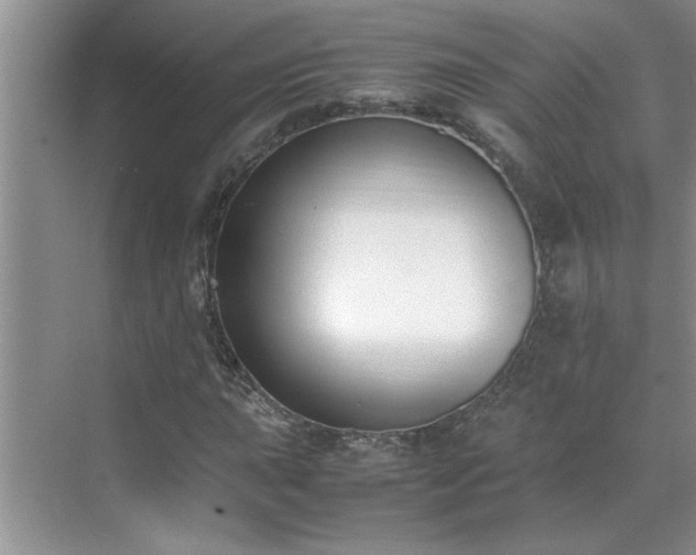 X0000070431015200606161458