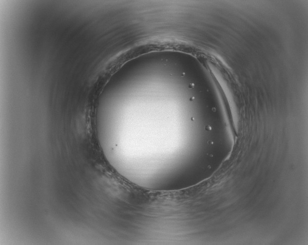 X0000070431016200606161458