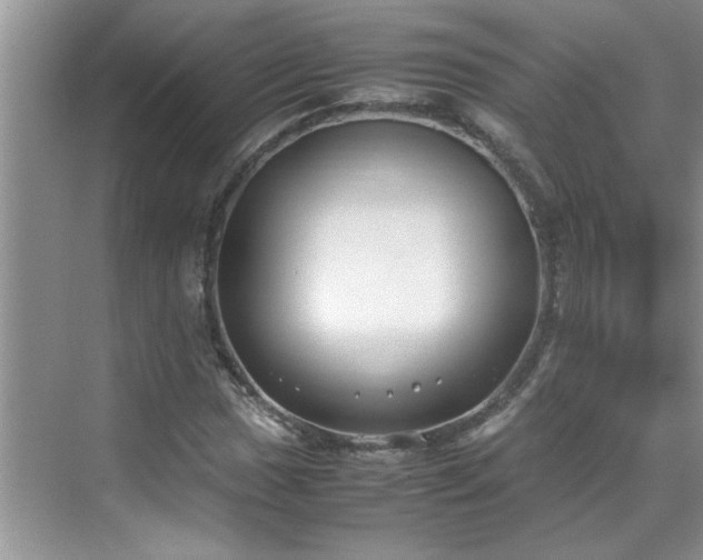 X0000070431017200606161458