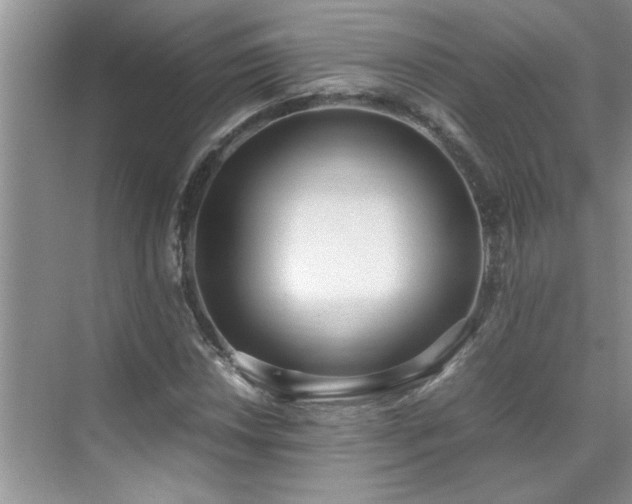 X0000070431018200606161458