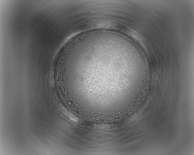 X0000070431019200606161458