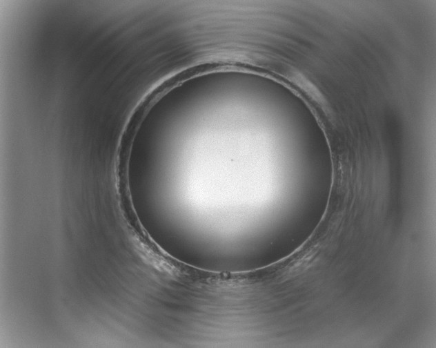 X0000070431020200606161458