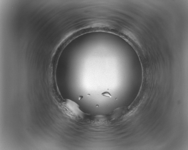 X0000070431021200606161458