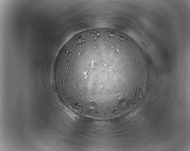 X0000070431023200606161458