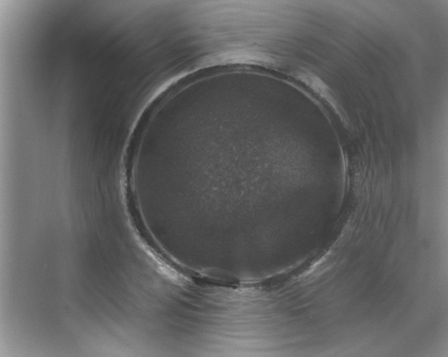 X0000070431024200606161458