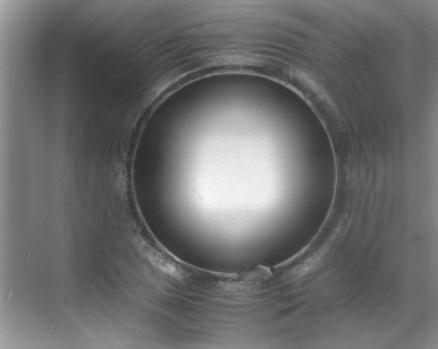 X0000070431025200606161458