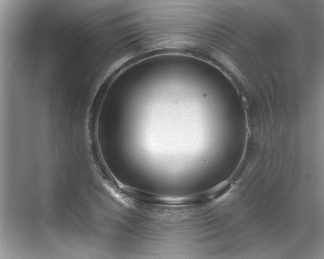 X0000070431026200606161458