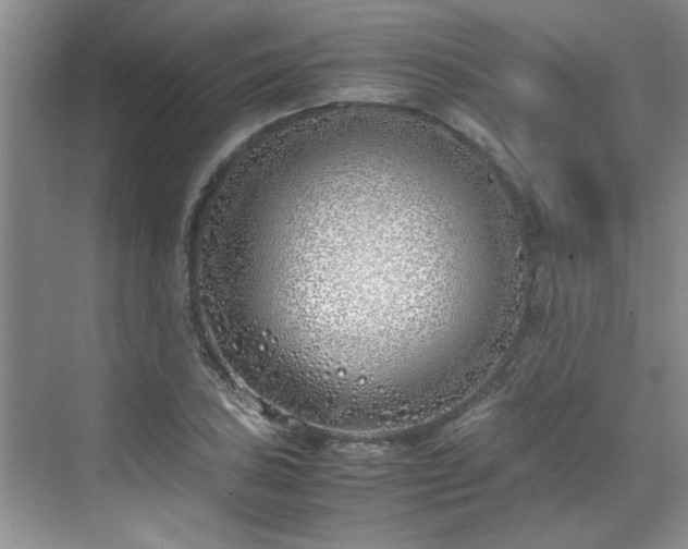 X0000070431027200606161458