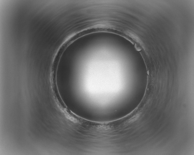 X0000070431029200606161458