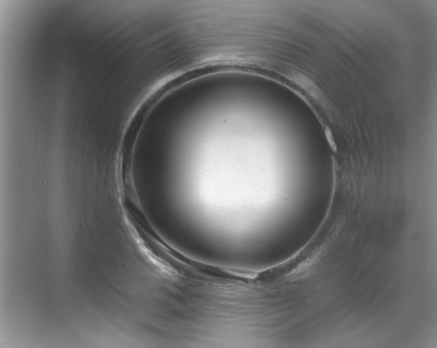 X0000070431030200606161458