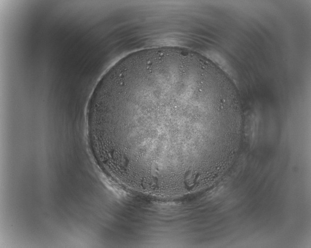 X0000070431031200606161458