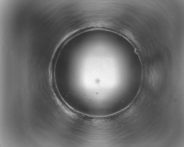 X0000070431032200606161458