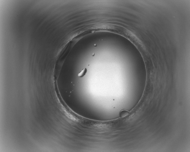 X0000070431033200606161459