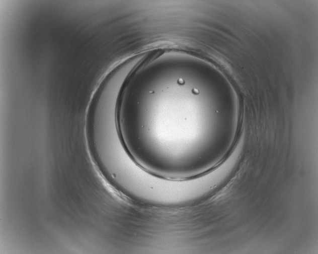 X0000070431034200606161459