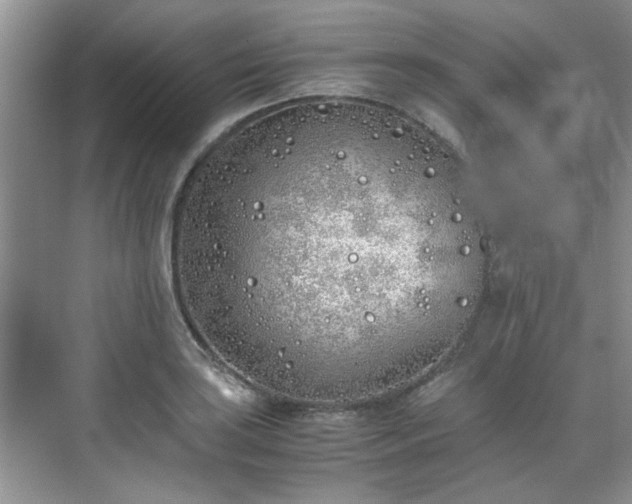 X0000070431035200606161459