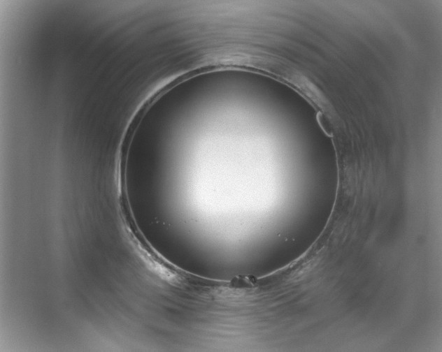 X0000070431036200606161459