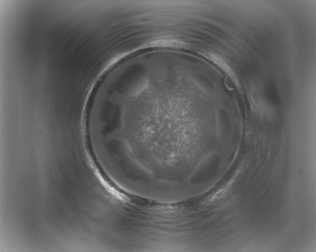 X0000070431037200606161459