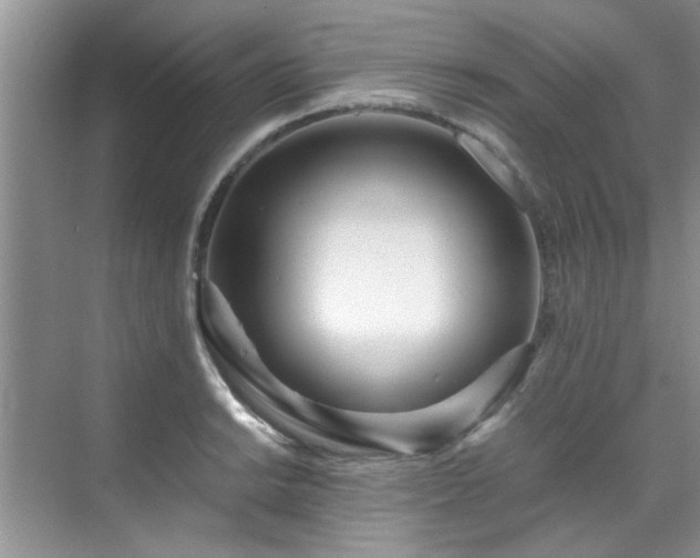 X0000070431038200606161459