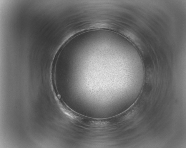 X0000070431039200606161459