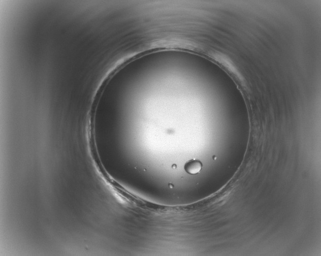 X0000070431040200606161459