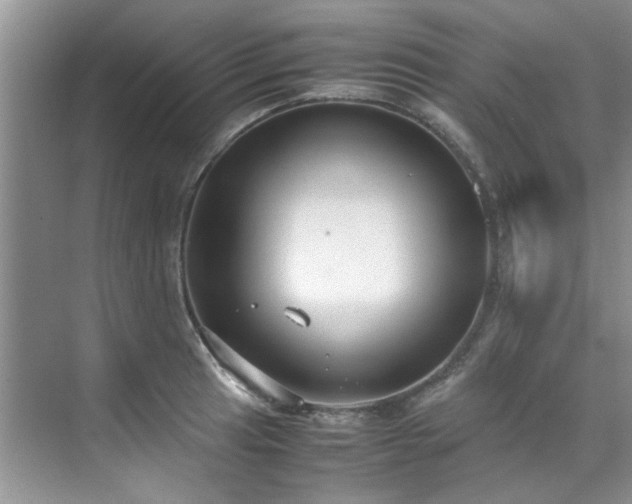 X0000070431041200606161459