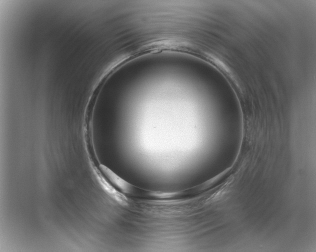 X0000070431042200606161459