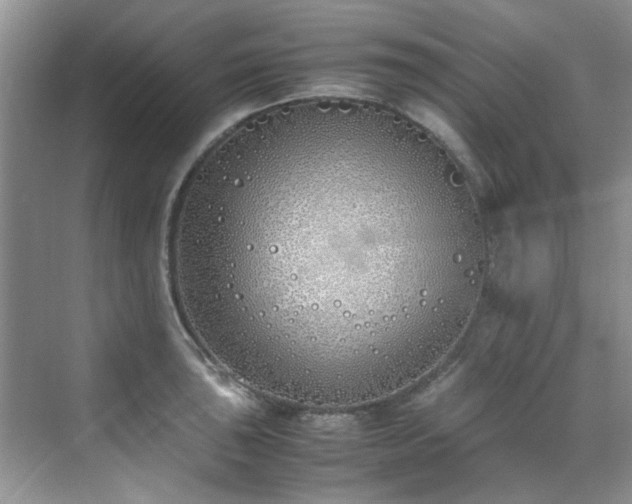 X0000070431043200606161459