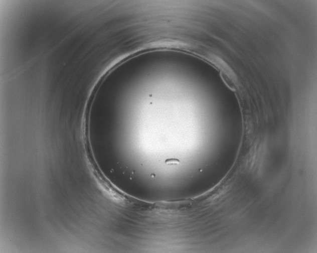 X0000070431044200606161459