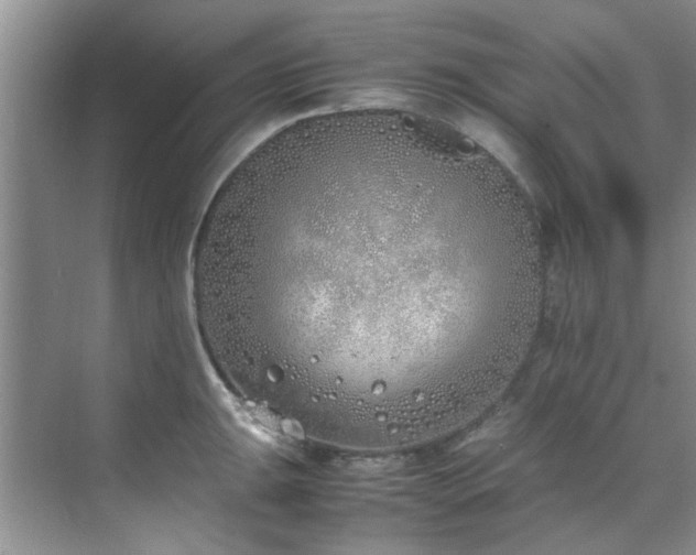 X0000070431047200606161459