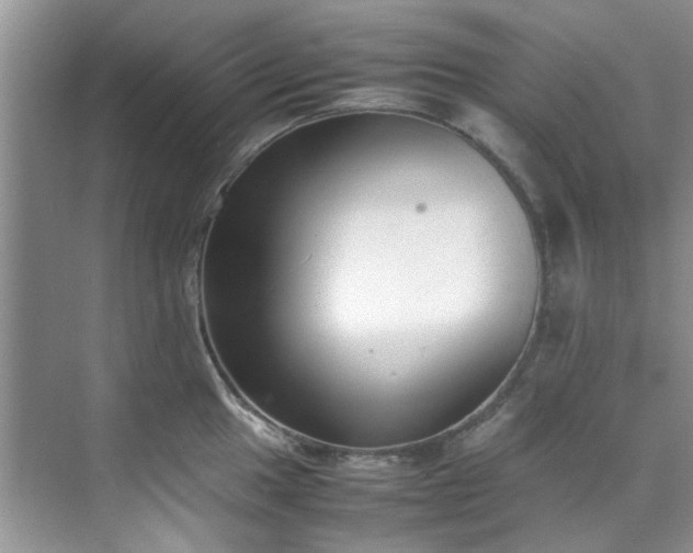 X0000070431049200606161459