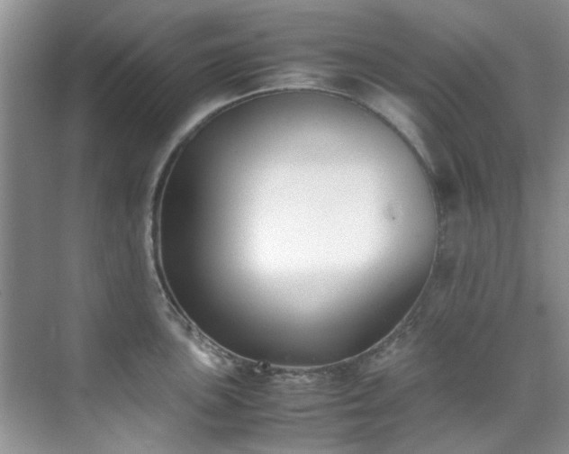 X0000070431051200606161459