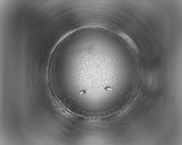 X0000070431052200606161459