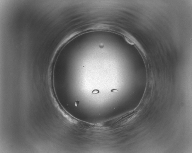 X0000070431053200606161459