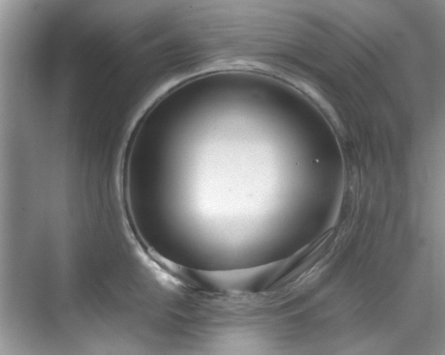 X0000070431054200606161459