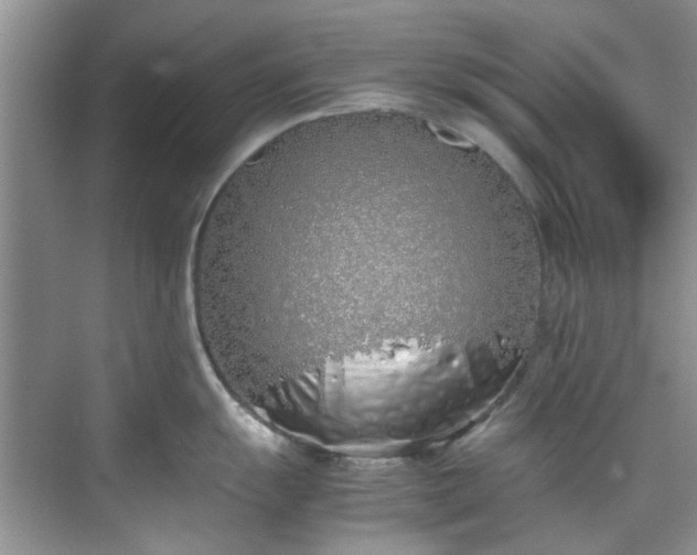 X0000070431055200606161459