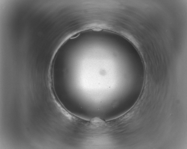 X0000070431056200606161459