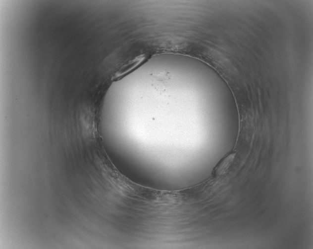 X0000070431058200606161458