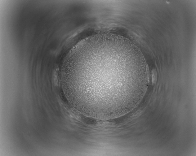 X0000070431059200606161458