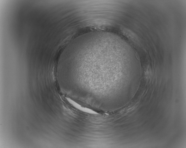 X0000070431060200606161458