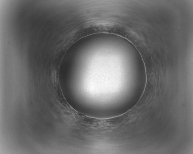 X0000070431061200606161458